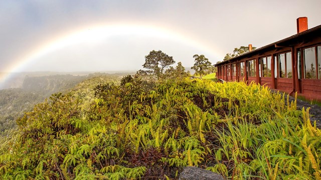 A rainbow over a fern-covered cliff edge with a red building perched on the side