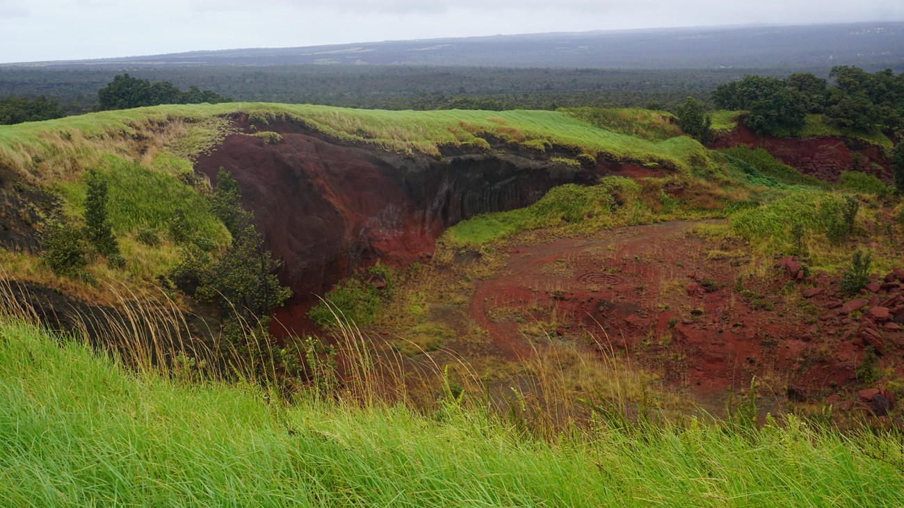 A green meadow with red soil exposed