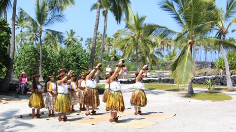 Hula dancers surrounded by palm trees