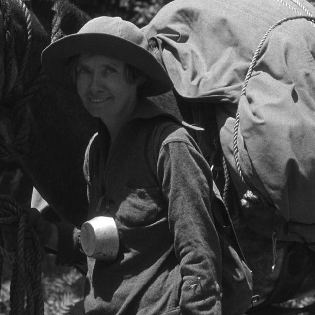 A woman stands next to a pack horse