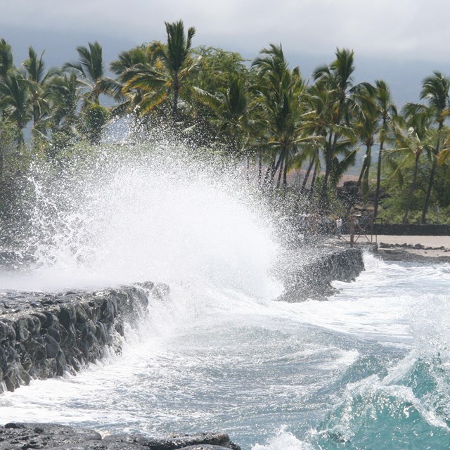 waves crash on rocks with palm trees in background