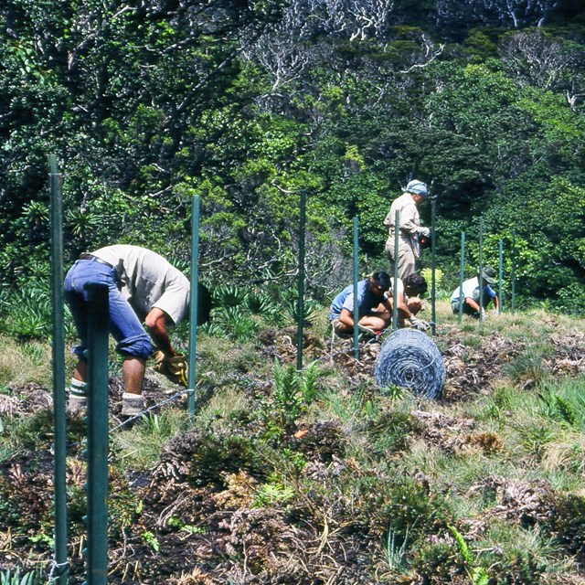 a group of people surrounded by grasses