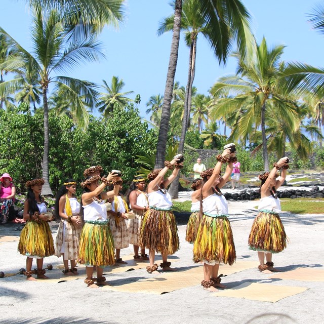 a group watches a hula performance amongst palm trees on beach