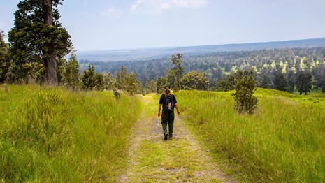 A hiker walks along a trail surrounded by green grass