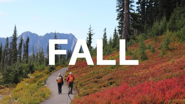 word Fall over background of two hikers walking on path
