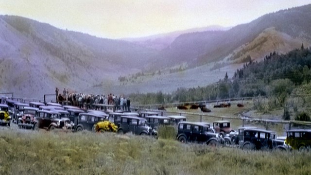 A photo of many visitors in automobiles lined up to enter a park.