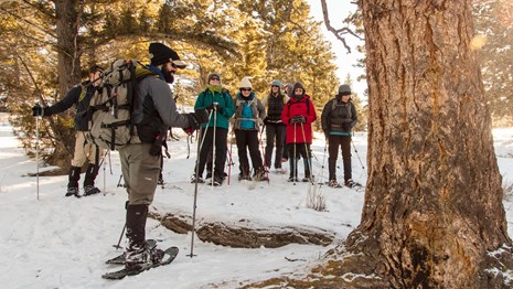 Man on snowshoes standing near a large Douglas Fir tree talking to a group also on snowshoes