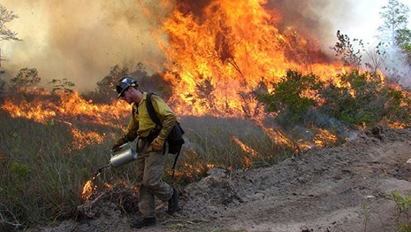 Fireman walking on path beside fire conducting a prescribed fire