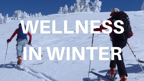 Two cross country skiers
