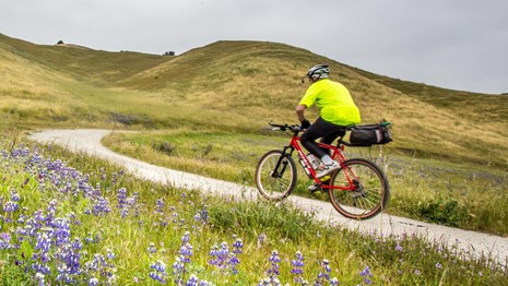 Biker riding up a hilly trail