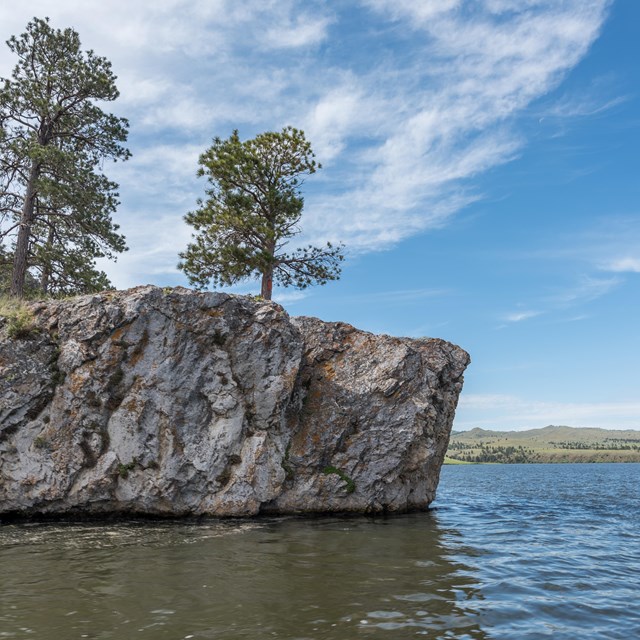 White cliffs with confier trees drop into the Missouri River, with rolling hills and forest beyond