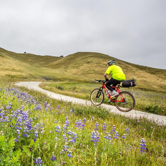 Biker riding up a hilly trail