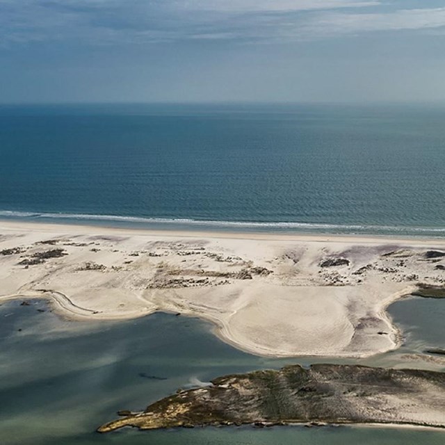 Aerial view of shoreline and ocean