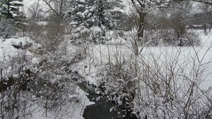 A shallow creek meanders through a snow covered park landscape.