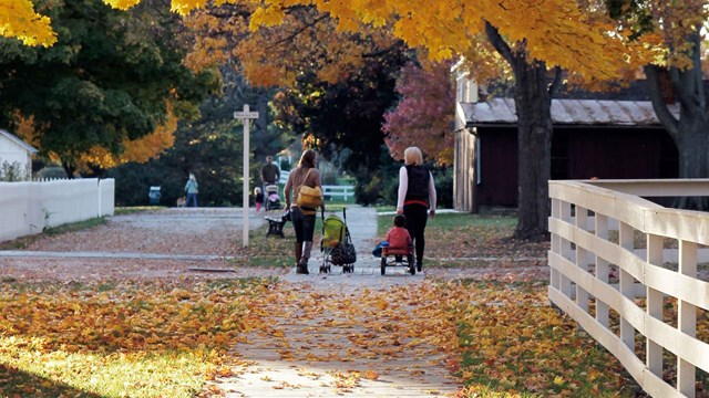 Mothers walk with their young children in a park with bright autumn foliage.