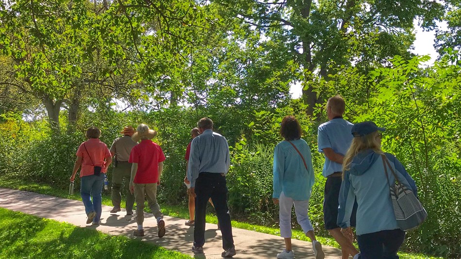 Seven adults walk down a tree-shaded park sidewalk.