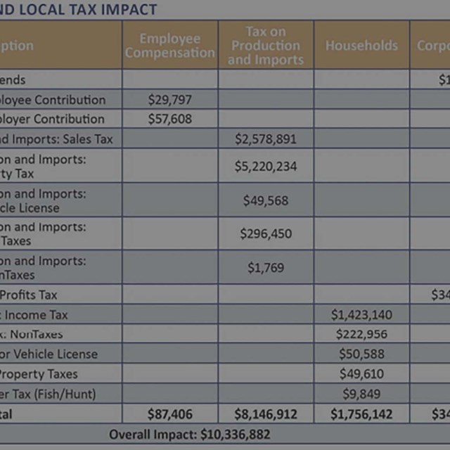Economic Impact Studies