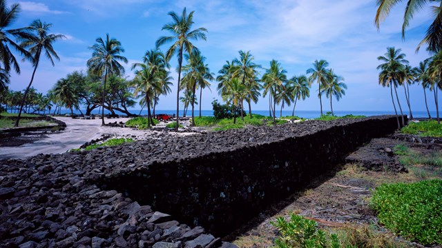 Lava rock wall with palm trees and ocean in distance
