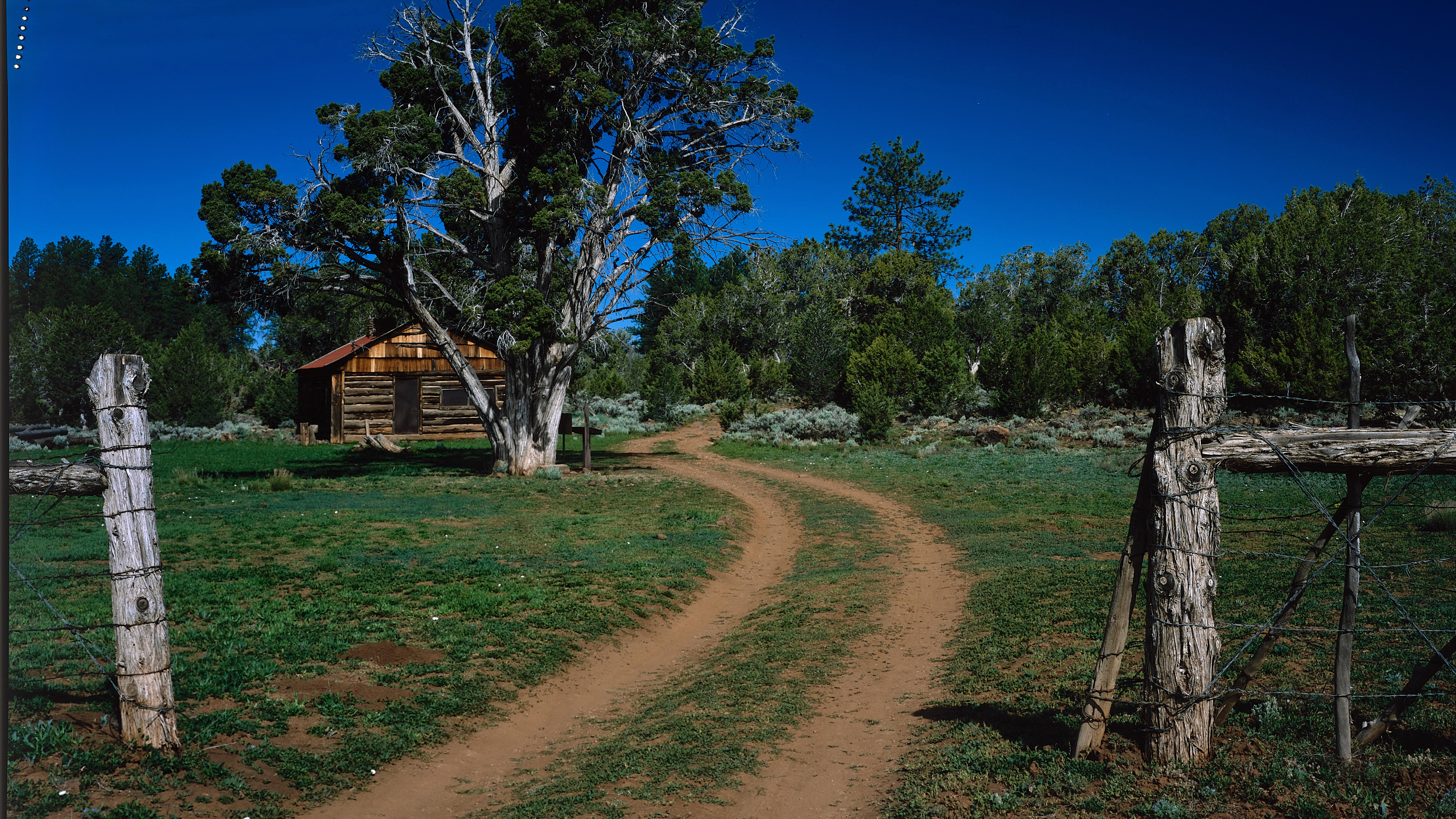 Two-track dirt road through wooden fence with cabin in background