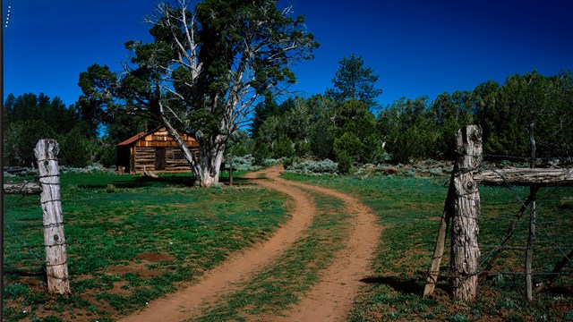 Two-track dirt road through wooden fence with cabin in background