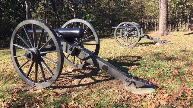 Cannons in a line pointing at a tree line