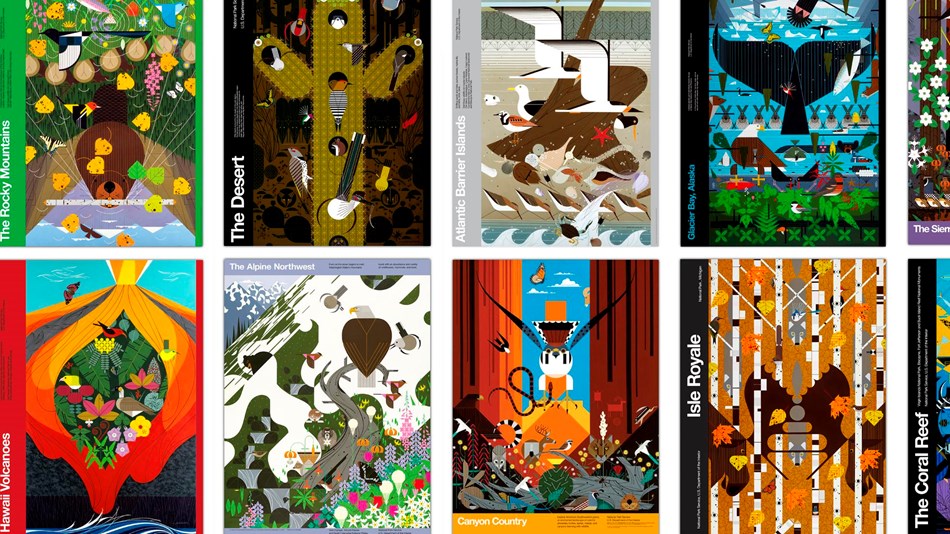 Collage of eight posters with colorful illustrations of plants and animals in national parks