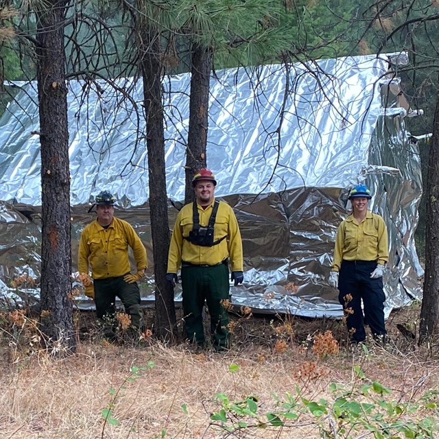 6 people standing among trees with yellow jackets