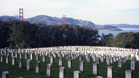 Cemetery headstones cover a hill overlooking the Golden Gate Bridge, Department of Veterans Affairs