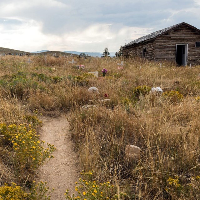 A dirt path through waist-high grass leads to a weathered wooden structure beneath a cloudy sky.