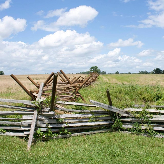 A wood split-rail fence cuts through a field of grass under a blue sky with white clouds.