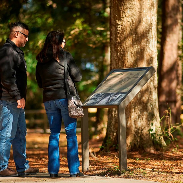 A couple stands at an exhibit in a forest of large trees. 
