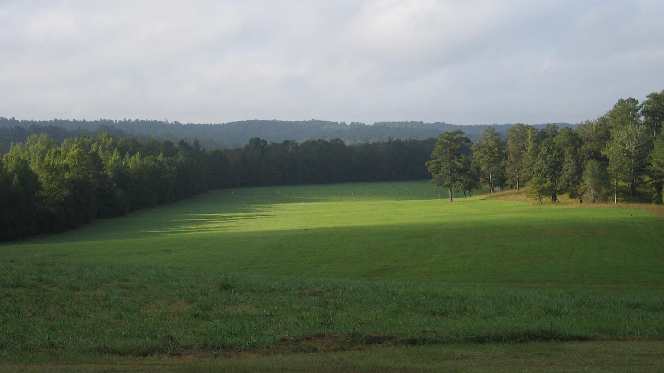 looking down onto a field clearing from an overlook point