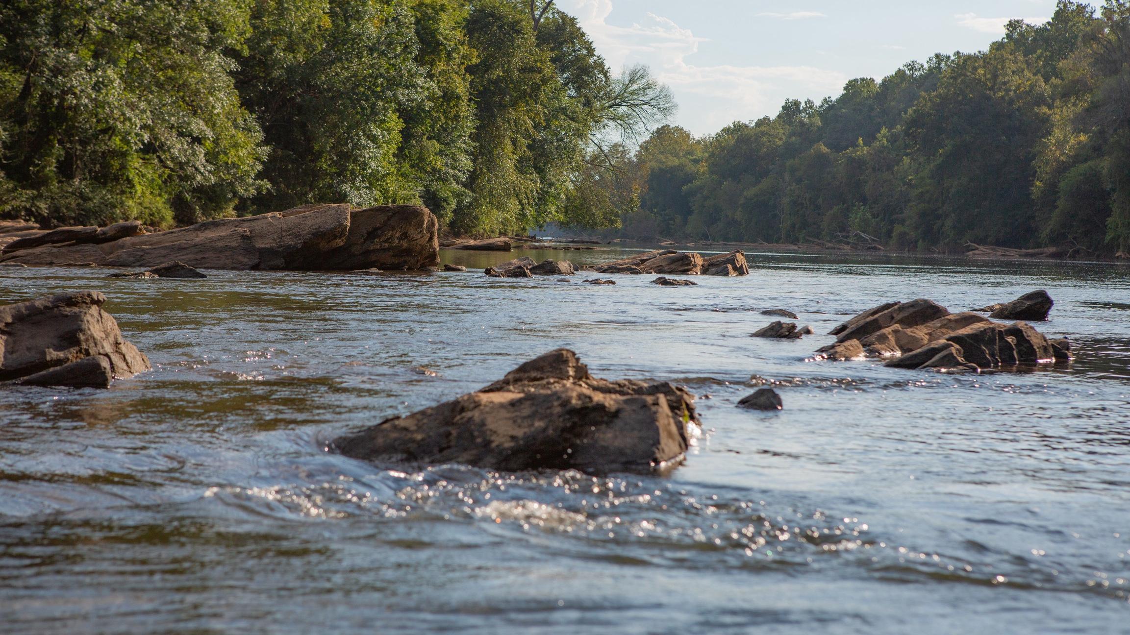 rocks protruding from the middle of a tree-lined river