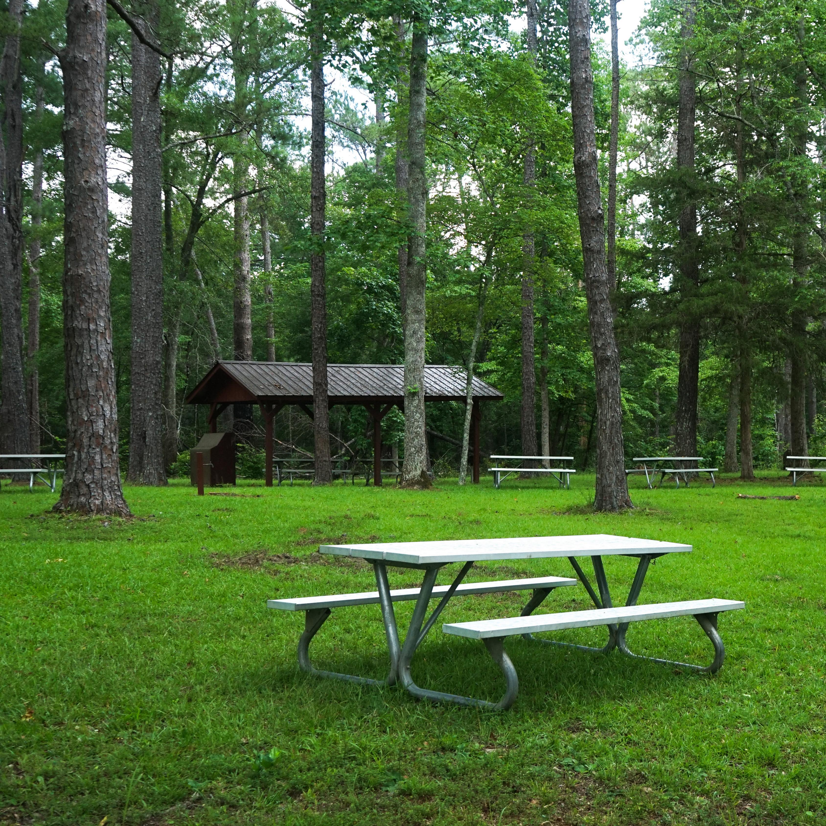 Image displays a grassy, forested area with metal picnic tables and a covered pavilion.