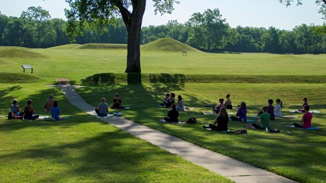 Several people sitting in the grass in the shade