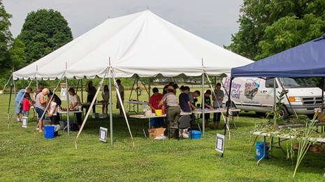 Visitors enjoying displays and activities during a park event