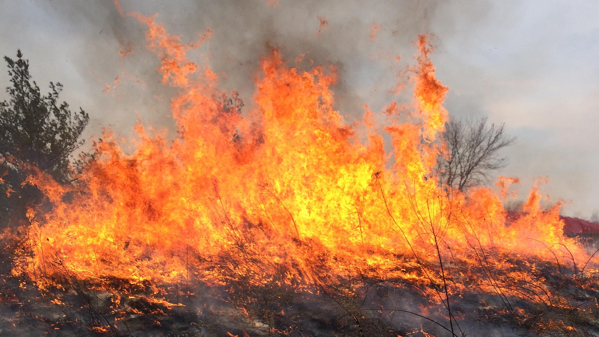 Tall flames leaping off of the ground