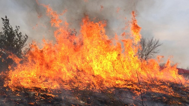 Tall flames leaping off of the ground