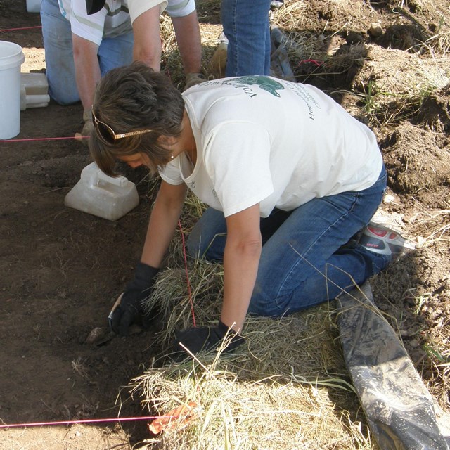  female uses trowel at archeological site to scrape and dig.