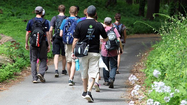 Group of people walking along a road shaded by trees.