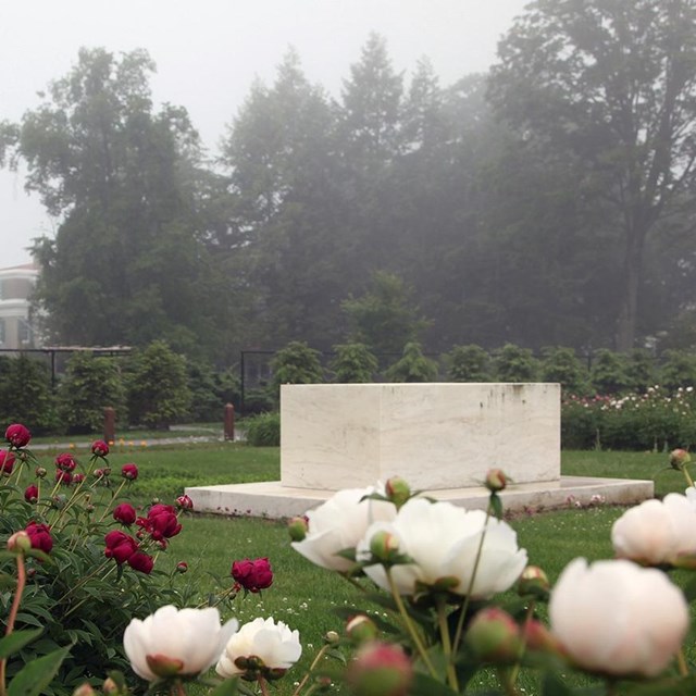 A white marble block in the center of a blooming garden.