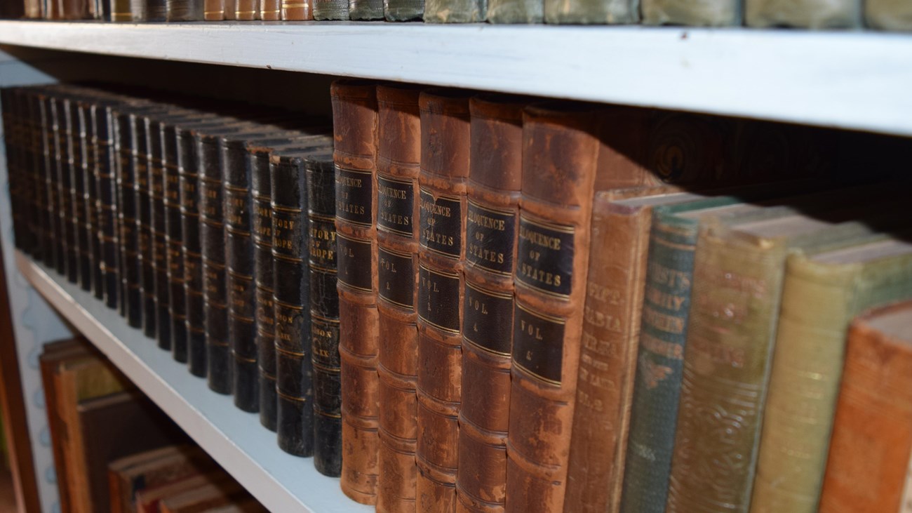 Row of books sitting on a shelf.