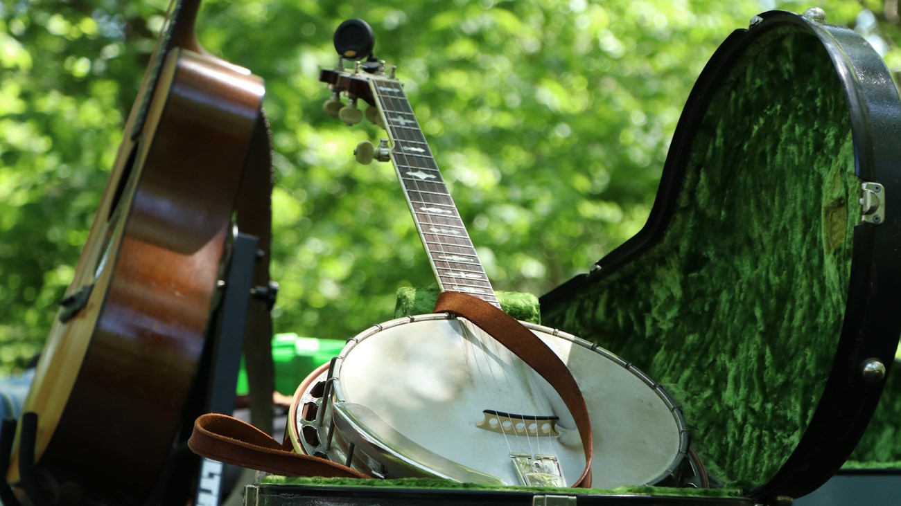 An image of a banjo and a guitar.