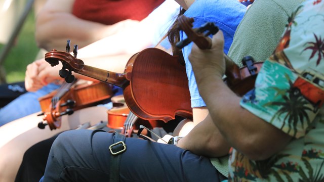 Four fiddle players are seen from the back with their instruments across their laps.