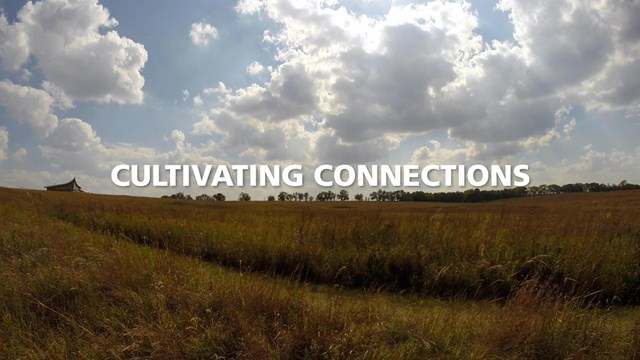 Cultivating Connections