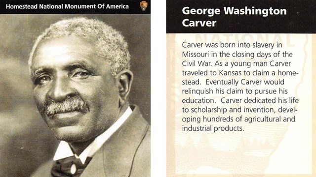Civil War to Civil Rights Trading Cards