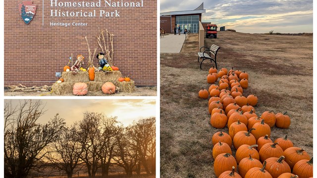 3 photo fall themed collage shows pumpkins, hay, trees, and views of Homestead's Heritage Center.