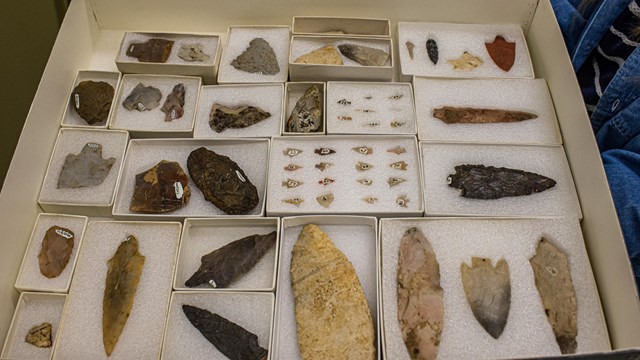 Dozens of boxes of various arrowheads and stone spearpoints sitting in a drawer.