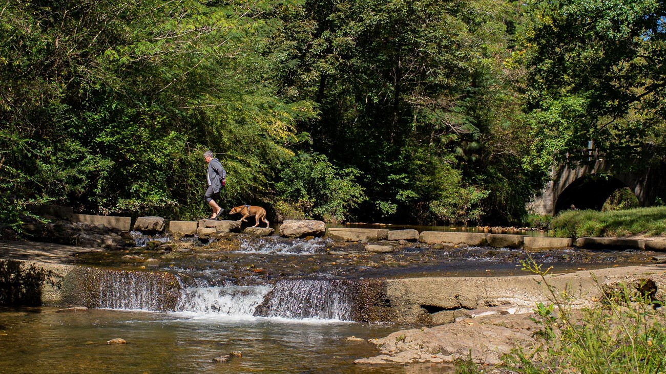 A woman and her dog crossing a creek