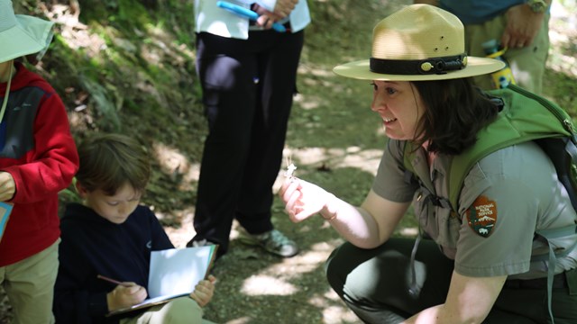 A ranger is squatting down on a trail, showcasing a bit of ecology to onlookers.